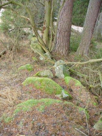 Zbytky hradiště u Stříbrné studánky